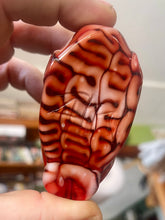 Load image into Gallery viewer, Brain tech trap king